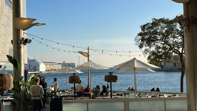 TAPA TAPA MAREMAGNUM