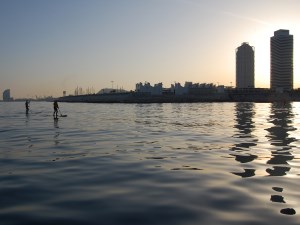 Paddle Surf
