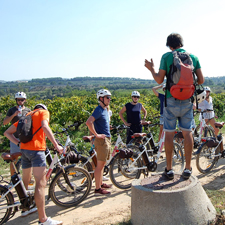 bicycle route through the vineyards of Penedés