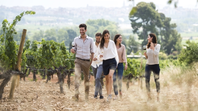 Wines with their own unique character