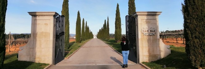 Can Bas Domini Vinícola