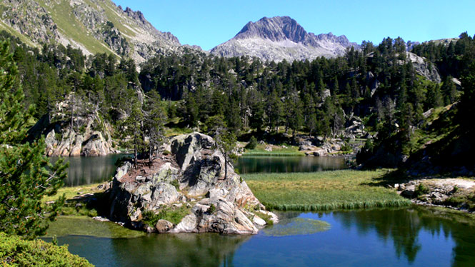 Parc Natural Barcelona 