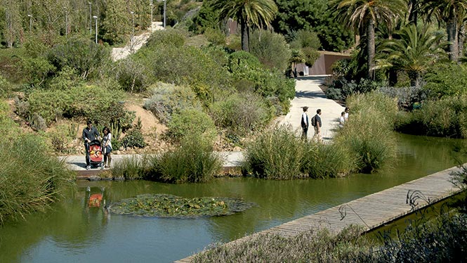 Jardí Botànic de Barcelona