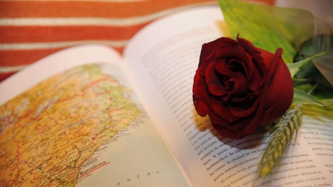 Sant Jordi, UNESCO World Book Day 