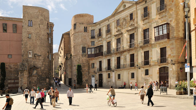 Safety, coexistence and health