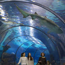 L'Aquàrium de Barcelona