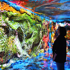 Casa Batlló Gaudí Barcelona