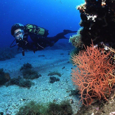 scuba diver on the seabed on Mataró beaches